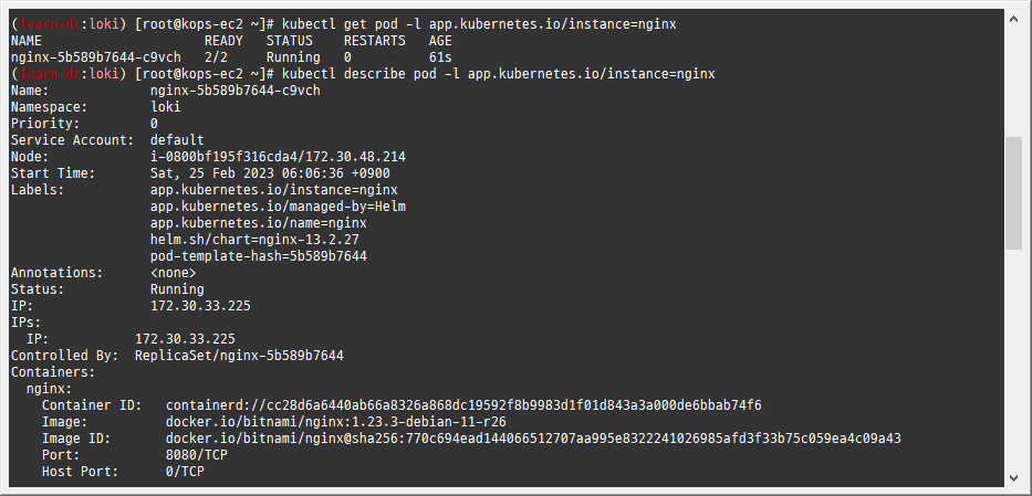 image-20230225060727692 /pkos_w6_hands-on/files/img/image-20230225060727692.png
